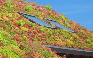 Morgans Vale living roof systems